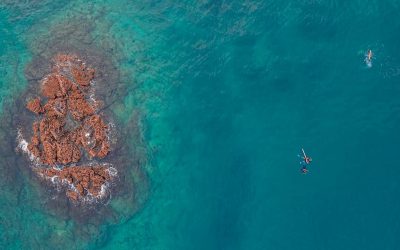 Snorkelling in the green water at Snoopy Island